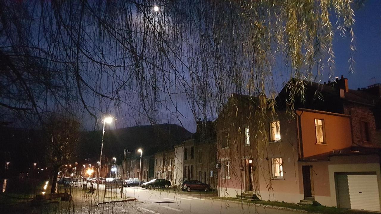 Willa Le Balcon Sur La Meuse Revin  Zewnętrze zdjęcie